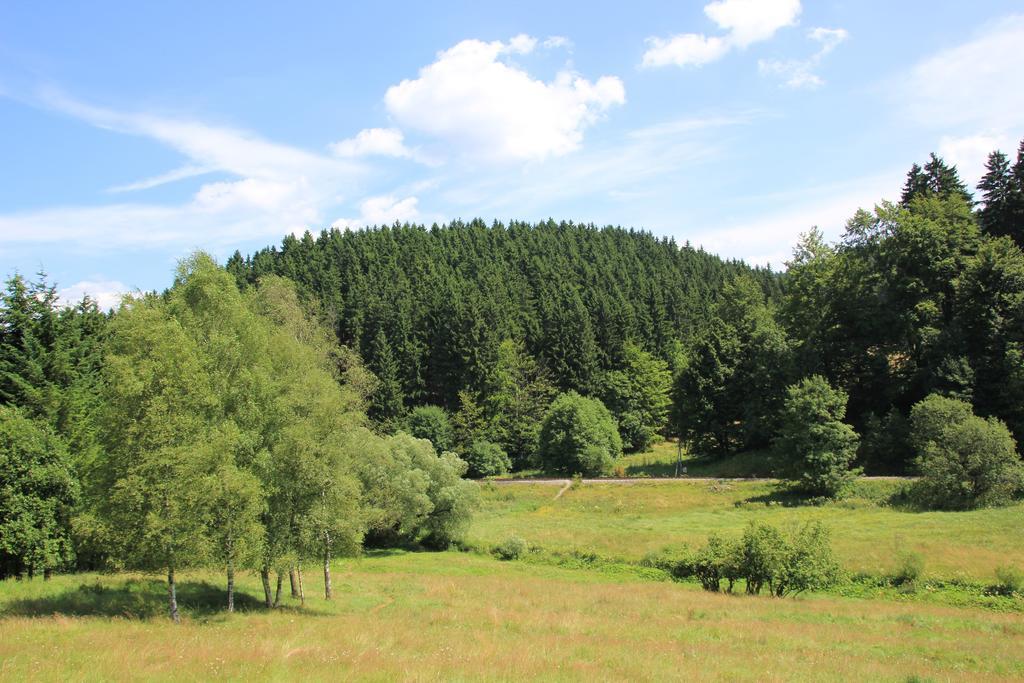 אילמנאו Gasthof 'Zum Reifberg' מראה חיצוני תמונה
