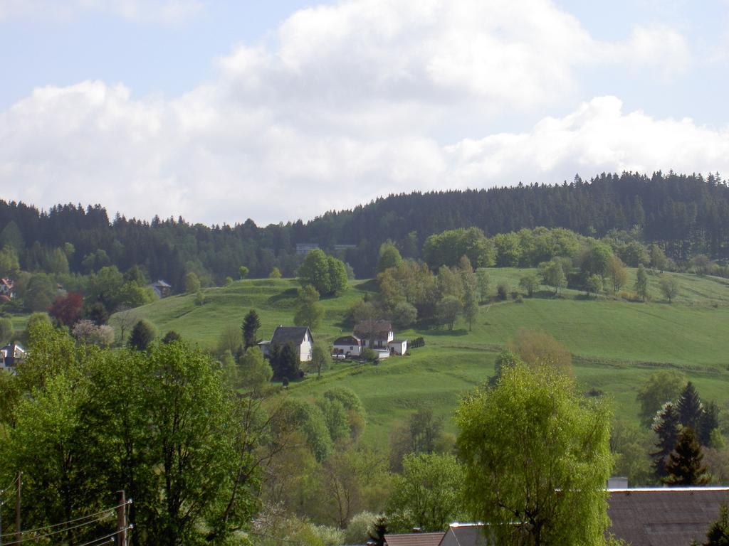 אילמנאו Gasthof 'Zum Reifberg' חדר תמונה